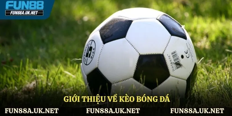 Tìm hiểu về kèo bóng đá