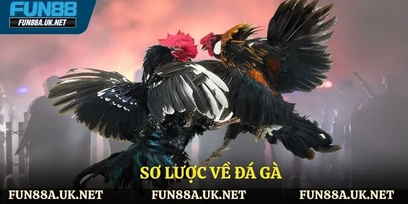 Sơ lược về đá gà